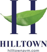 Hilltown